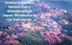 Inn Unkai no Sato no Yado 民宿 雲海の里の宿