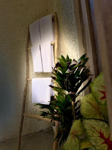 Sunshine dijoglo villa