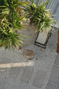 Windy Villa Phú Quý