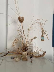 Olivia sea side house