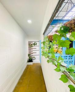 Hostal la casa de Ross