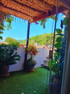 1 COCO BAMBÚ PIPA apto 1, a 200 m da praia e a 100 m do centro da cidade