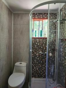 Cabañas Pucón Baño de Bosque