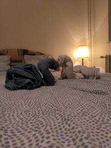 Poprad -Tatry Double Room