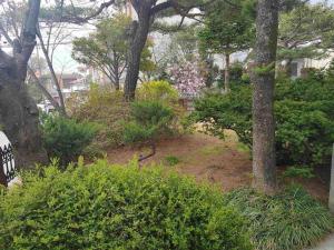 Gangneung Garden Terrace House