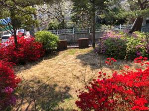 Gangneung Garden Terrace House