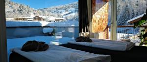 ALMMONTE LIGNUM - Premium Lodge