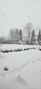 Mój Domek z Jacuzzi, sauną i kominkiem na wyłączność