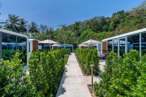 Nomad Cabin — Seaside Escape with Pool & Breakfast