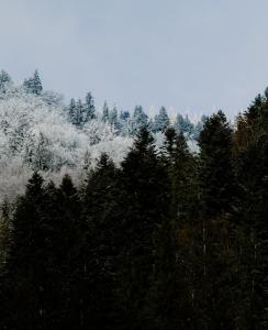 Гук готельно-ресторанний комплекс