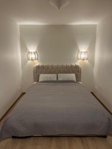 Lapu ielas apartment