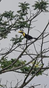 Tío Felix Eco Lodge