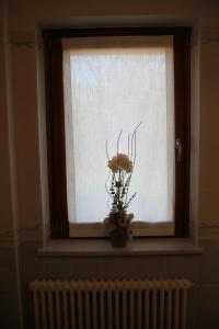 Il giardino in campagna