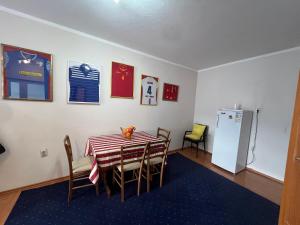 Affordable Apartment in Tuzi