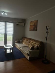 Affordable Apartment in Tuzi