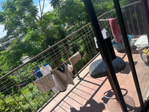 Sea breeze garden 501