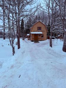 Charmig gammal lanthandel på landet