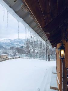 Holiday house Flores