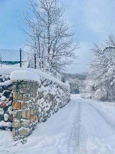 Holiday house Flores