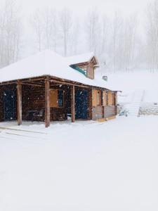 Holiday house Flores