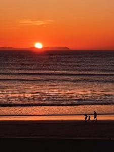 Cosy Dog-Friendly by West Strand - Dunluce Park 1