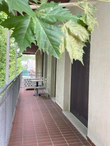 A due passi dal mare, relax e comfort