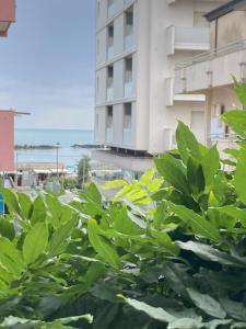 A due passi dal mare, relax e comfort