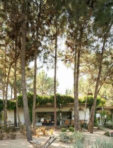 Cabana Lavanda Comporta