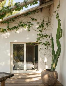 Cabana Lavanda Comporta