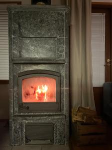 Tilava huoneisto järvi näkymällä