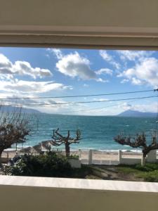 The Loula Collection - Horizon Suite