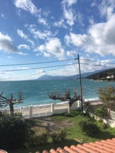 The Loula Collection - Horizon Suite