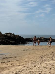 Papudo, equipped apartment 10 minutes from the beach