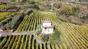 Vesuvio Inn Guest House e Wine Experience
