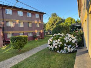 Departamento vacacional Valdivia