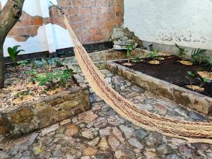 Casa Linda Zona Rosa Buenos Aires, Natural Garden