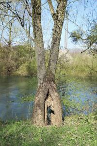 Lœil de la Vouivre ou lœil du Dragon