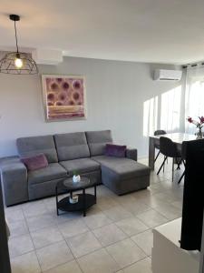 Villa en Provence 2 T3 jardin clos et SPA