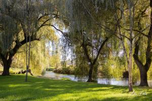 Résidence Campagne Charentaise