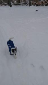 Sosnowy zakątek odpocznij tu