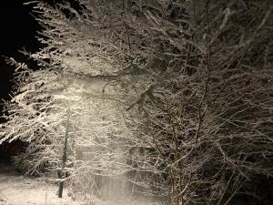 t Egeltje Ardennen chalet 133