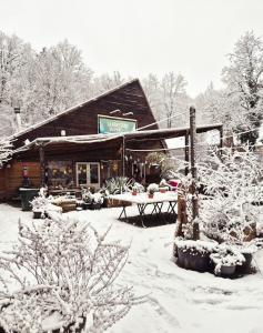 t Grote Egeltje XL chalet 220