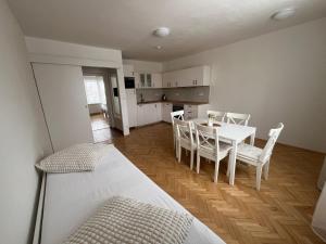 Litovelské apartmány