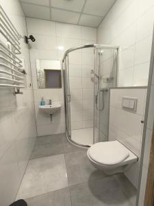 Ząbkowickie Centrum Sportu i Rekreacji Sp. z o. o.