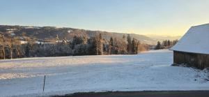 Vierländereck - Suites - Leiblachtal