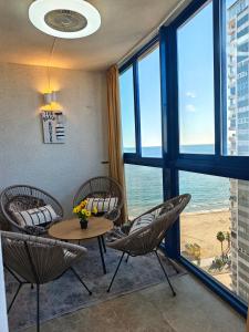 Amaryllis SeaYou Benidorm