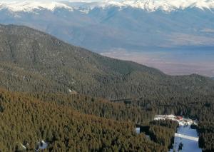 Ментовото кътче на Катя