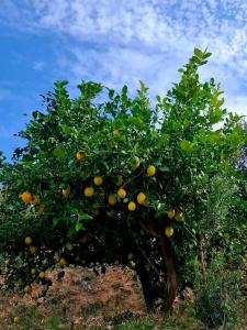 Apartament A&J Punta Prima