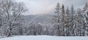 Domek w malowniczych Pieninach