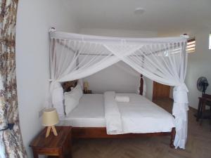 Bird of Paradise Eco Lodge